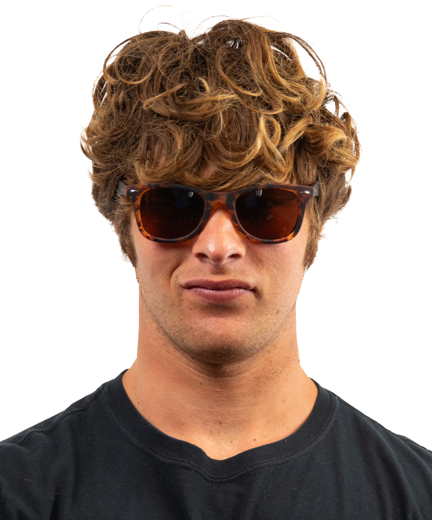 [Luxe]Tortoise Sprinters