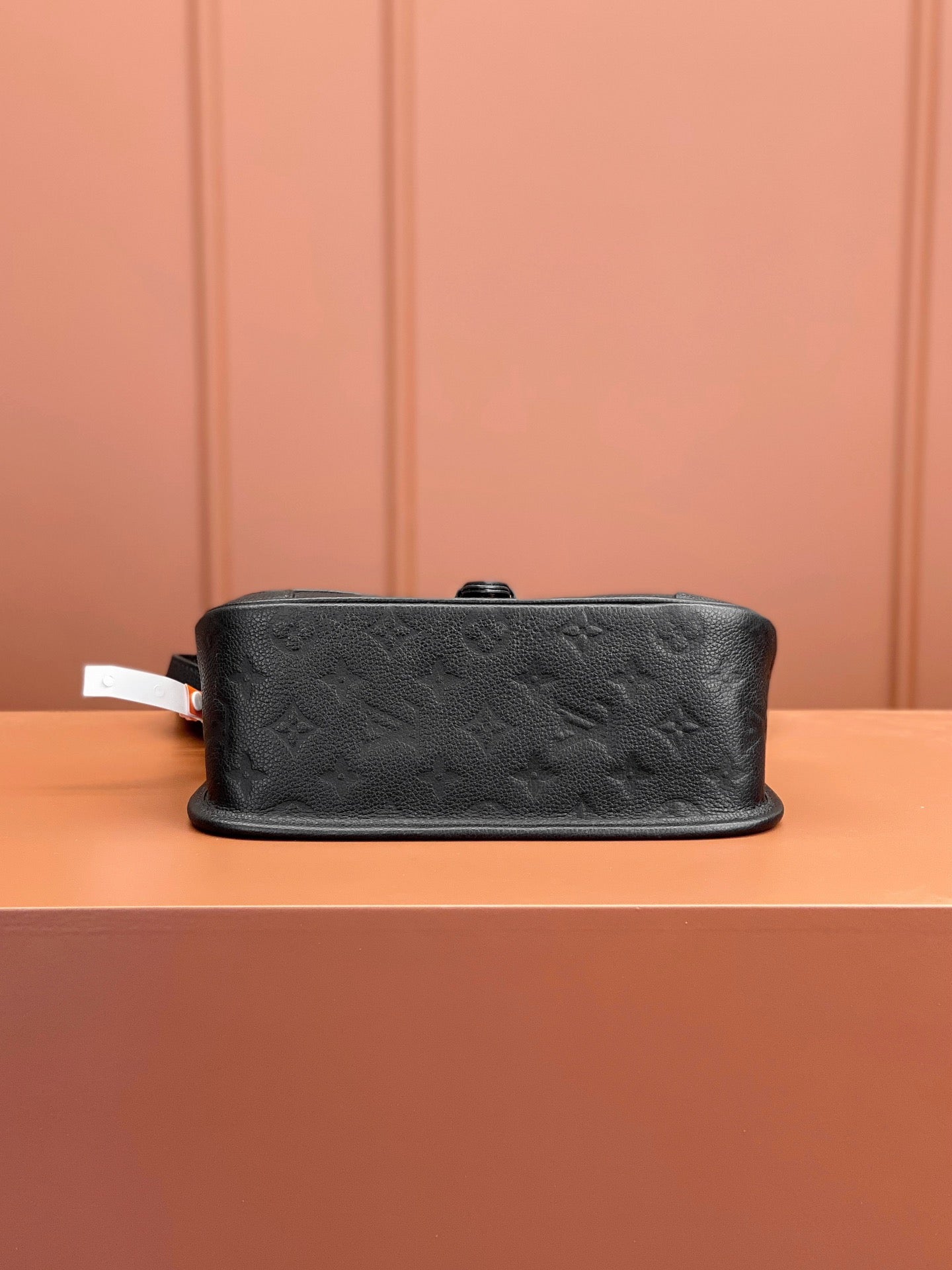 [Luxe]0528 Diane Monogram Empreinte Leather
